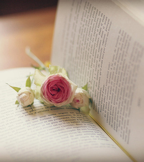 beauty, black and book