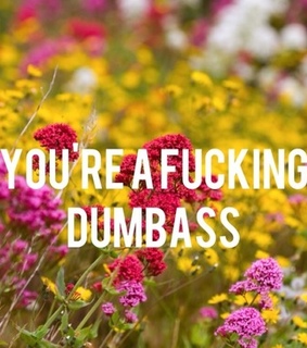 boys, mad and stupid