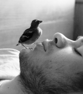 adorable, amazing and animal