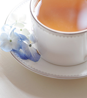 beverage, blue and drink