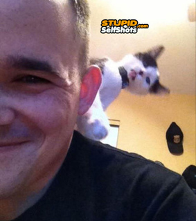 cats, funny and self shot