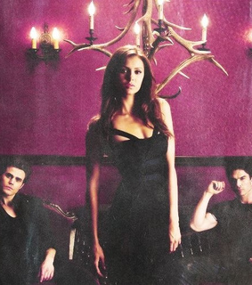 damon, damon salvatore and delena