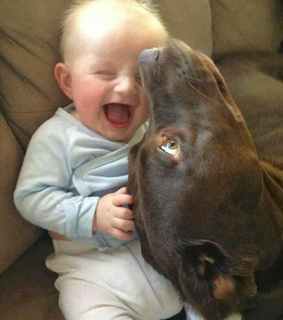 adorable, animals and baby