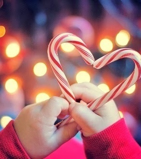 amore, animals and christmas