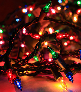 animals, christmas and christmass