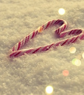 carols, christmas and christmastree