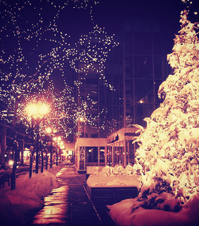 christmas, christmas tree and decorations