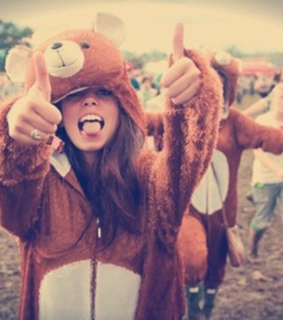 animal, animals and bear