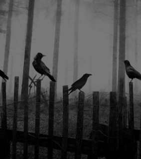 birds, black and creepy