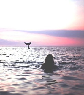 beach, beautiful and cute