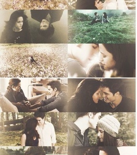 bella, couple and edward