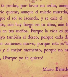 frases, frases en español and miedo