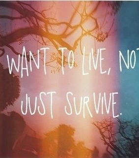 chance, citation and friend