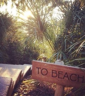 beach, paradise and summer