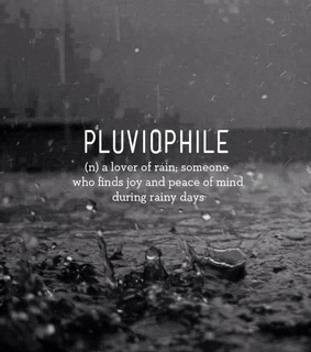 joy, love rain and meaning