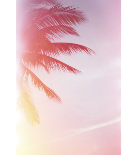 amazing, beach and california