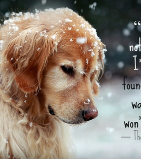 inspirational, motivation and never give up