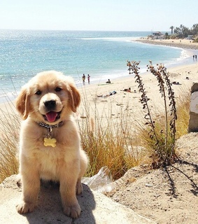 2014, amazing and beach