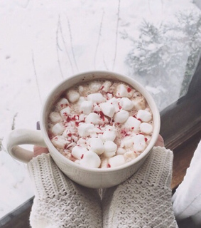 candy canes, chocolate and cocoa