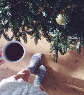 chocolate, christmas and cocoa