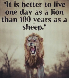 animals, courage and inspiration