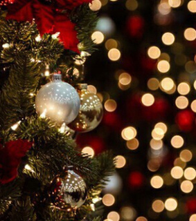 article, blog and christmas