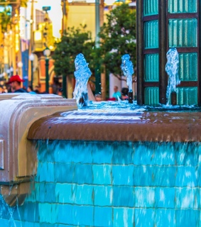 garden, home and house