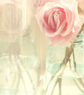 dreamy, flowers and pastel