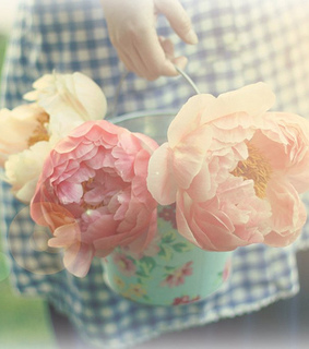 dreamy, flowers and hands