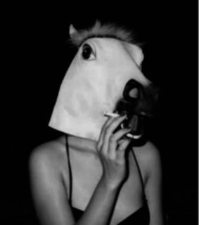 animals, beach and bikini