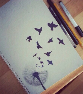 art, bird and drawing