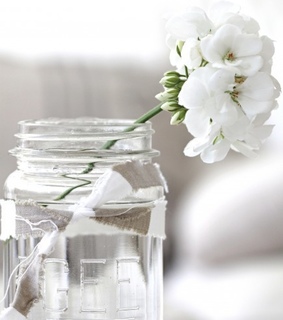 black and white, decoration and flower