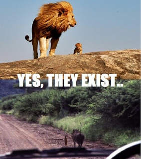 disney, lion king and mufasa