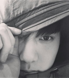 exo, exo k and exo m