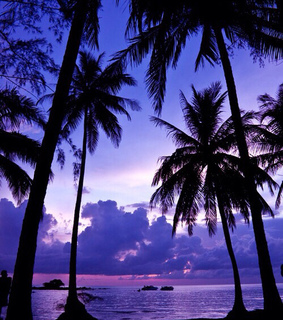 beach, cali and california