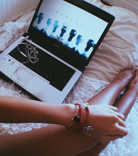 afterlight, animals and art