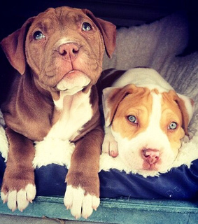 beutiful, blue eyes and cute