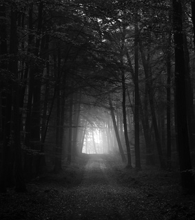 beasts, black & white and creepy