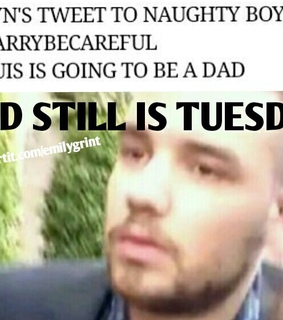 1d, 1d funny and directioner