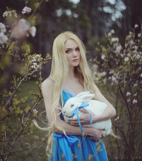 alice in wonderland, animal and bunny