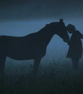 horse, love and night