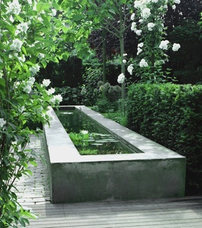 flowers, garden and green