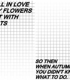 alternative, amazing and beautiful