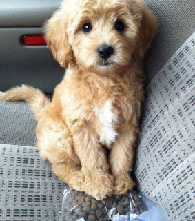 adorable, alternative and amazing