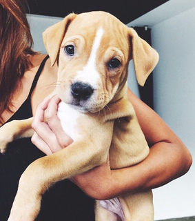 adorable, alternative and amazing