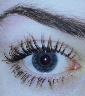 beauty, blue eyes and brows