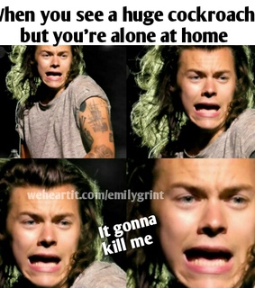 directioner, fun and funny