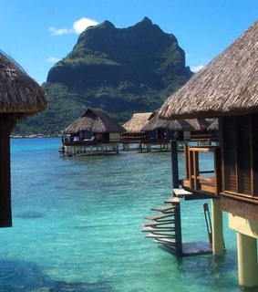 amazing, beautiful and life