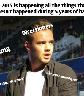 2015, directioner and fun