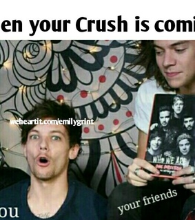 1d, 1d funny and crush